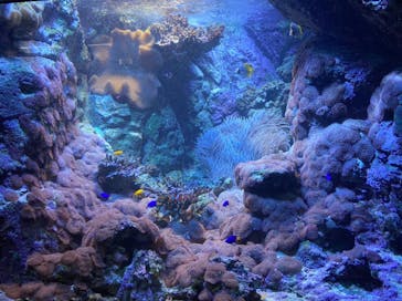 株式会社Gに投稿された画像（2020/10/2）