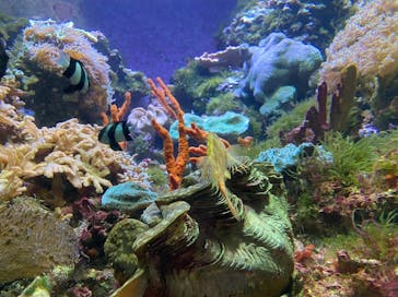 株式会社Gに投稿された画像（2020/10/2）