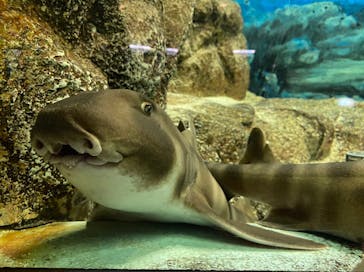 株式会社Gに投稿された画像（2020/10/2）