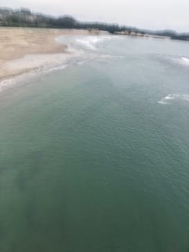 松島熱気球・パラグライダー体験に投稿された画像（2020/10/3）