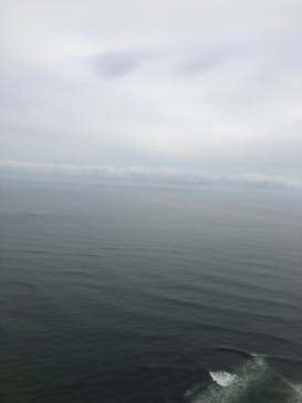 松島熱気球・パラグライダー体験に投稿された画像（2020/10/3）