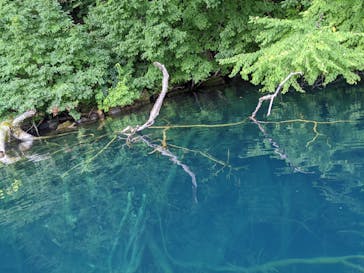 グリランド株式会社に投稿された画像（2020/10/3）