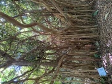 アスムイハイクスに投稿された画像（2020/10/3）