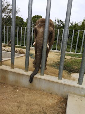 しろとり動物園に投稿された画像（2020/10/3）