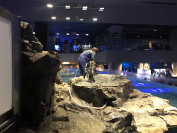 すみだ水族館に投稿された画像（2020/10/3）
