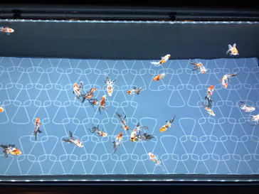 すみだ水族館に投稿された画像（2020/10/3）