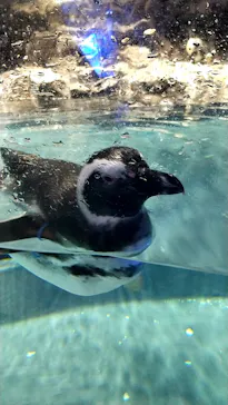 すみだ水族館に投稿された画像（2020/10/3）