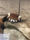 天王寺動物園に投稿された画像（2020/10/3）