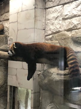 天王寺動物園に投稿された画像（2020/10/3）