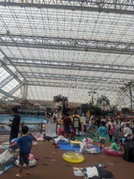 東京サマーランドに投稿された画像（2020/10/3）