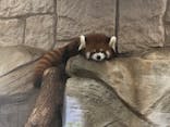 天王寺動物園に投稿された画像（2020/10/3）