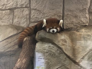 天王寺動物園に投稿された画像（2020/10/3）