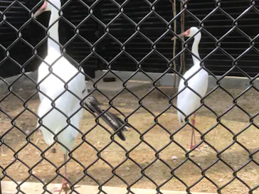 天王寺動物園に投稿された画像（2020/10/3）