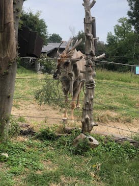 天王寺動物園に投稿された画像（2020/10/3）