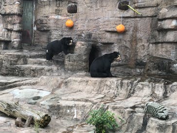 天王寺動物園に投稿された画像（2020/10/3）