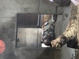 天王寺動物園に投稿された画像（2020/10/3）