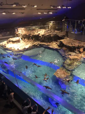すみだ水族館に投稿された画像（2020/10/3）