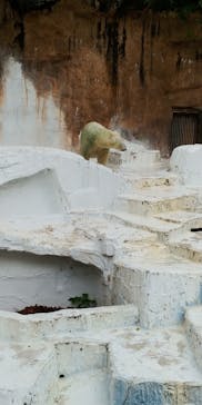 天王寺動物園に投稿された画像（2020/10/3）