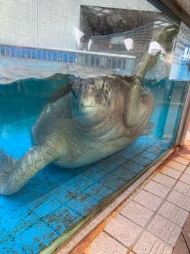 株式会社Gに投稿された画像（2020/10/3）