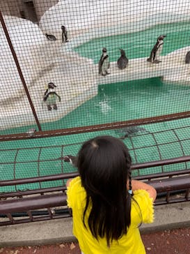 天王寺動物園に投稿された画像（2020/10/3）