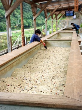 地底王国「美川ムーバレー」に投稿された画像（2020/10/3）