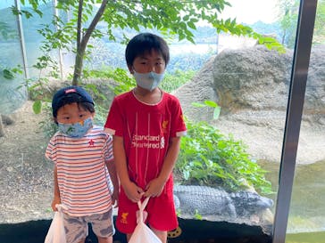 天王寺動物園に投稿された画像（2020/10/3）