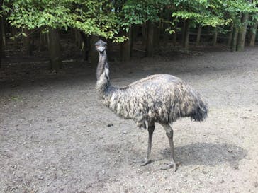 富士花鳥園に投稿された画像（2020/10/3）