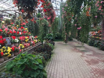 富士花鳥園に投稿された画像（2020/10/3）