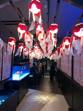 すみだ水族館に投稿された画像（2020/10/3）