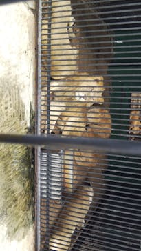 しろとり動物園に投稿された画像（2020/10/3）