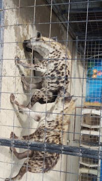 しろとり動物園に投稿された画像（2020/10/3）