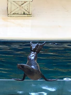 鳥羽水族館に投稿された画像（2020/10/3）