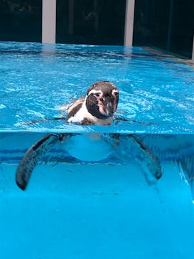 鳥羽水族館に投稿された画像（2020/10/3）