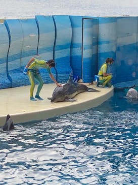 新江ノ島水族館に投稿された画像（2020/10/3）
