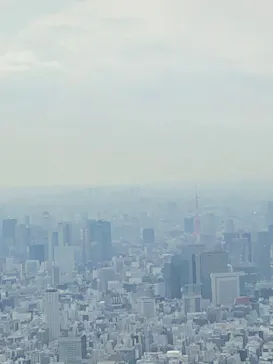 東京スカイツリーに投稿された画像（2020/10/3）