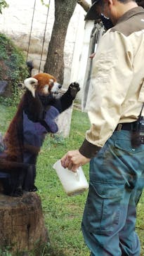 天王寺動物園に投稿された画像（2020/10/3）