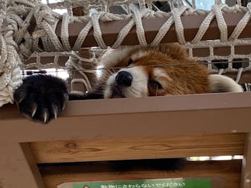 横浜・八景島シーパラダイスに投稿された画像（2020/10/3）