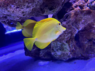 すみだ水族館に投稿された画像（2020/10/3）