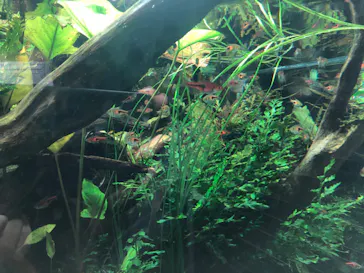 すみだ水族館に投稿された画像（2020/10/3）