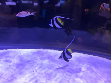 すみだ水族館に投稿された画像（2020/10/3）