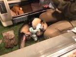 伊豆シャボテン動物公園に投稿された画像（2020/10/3）