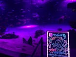 サンシャイン水族館に投稿された画像（2020/10/3）