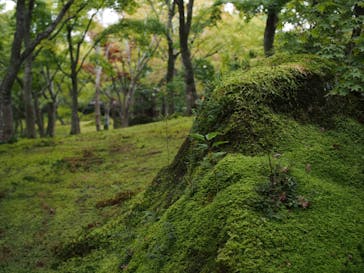 箱根美術館に投稿された画像（2020/10/3）