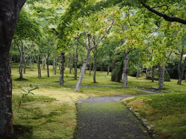 箱根美術館に投稿された画像（2020/10/3）