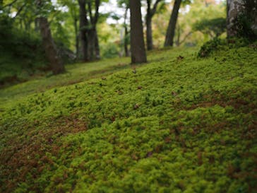 箱根美術館に投稿された画像（2020/10/3）