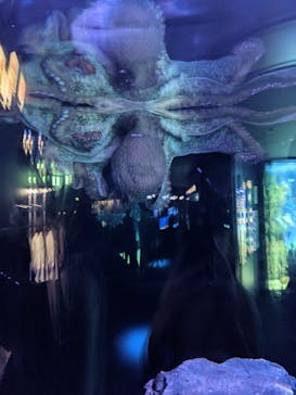 サンシャイン水族館に投稿された画像（2020/10/3）