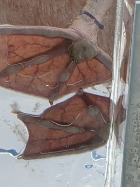 サンシャイン水族館に投稿された画像（2020/10/3）