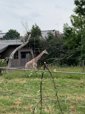 天王寺動物園に投稿された画像（2020/10/3）