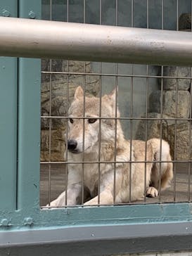 天王寺動物園に投稿された画像（2020/10/3）