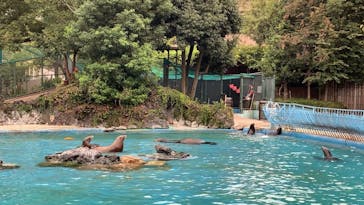 天王寺動物園に投稿された画像（2020/10/3）